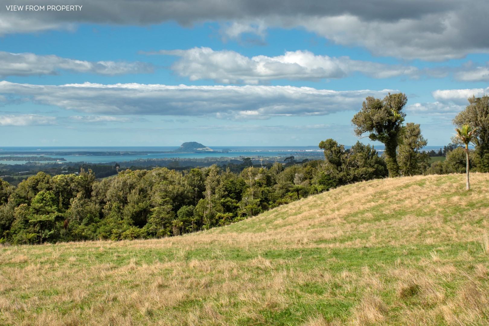 Land/Sections For Sale in Whakamarama, Western Bay of Plenty, Bay Of ...