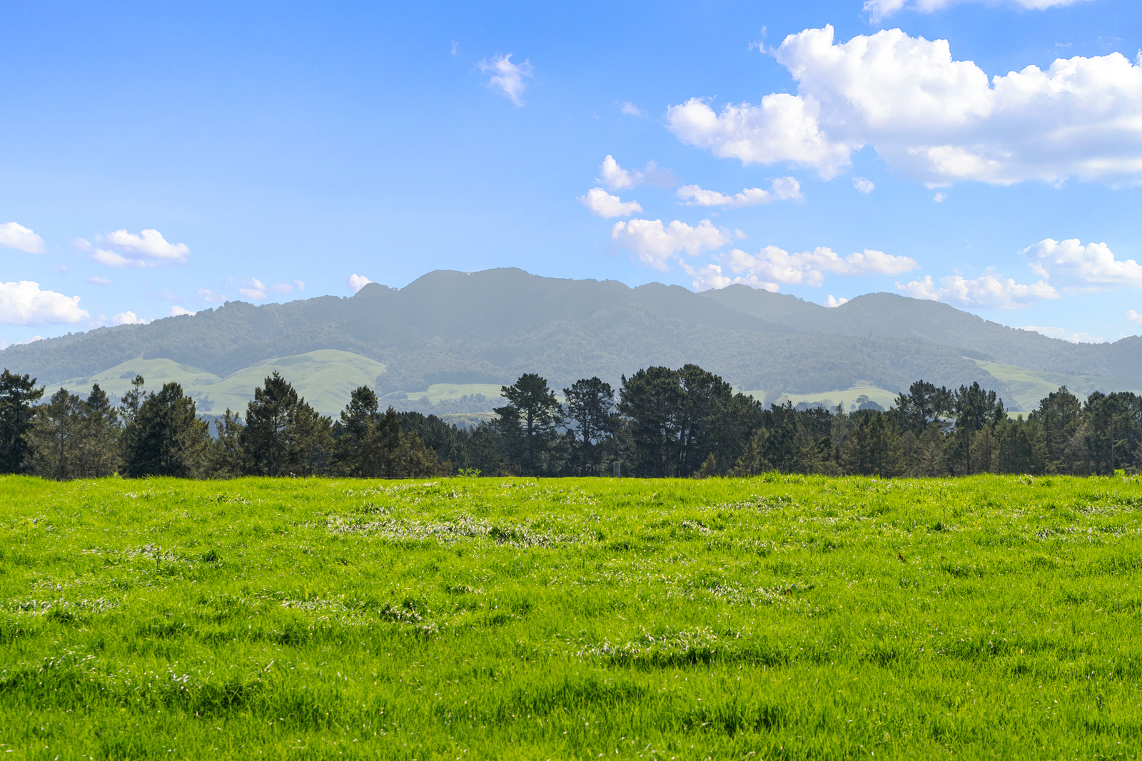 Land/Sections For Sale in Arapuni, South Waikato District, Waikato ...