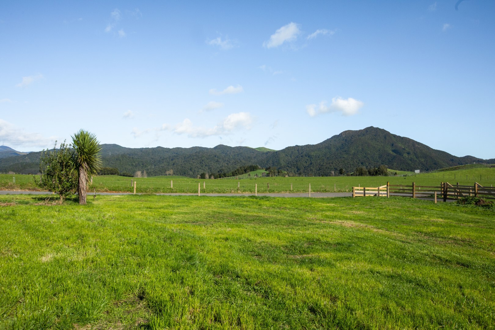 Land/Sections For Sale in Waihi, Hauraki, Waikato For Waikato Real Estate, Choose Eves