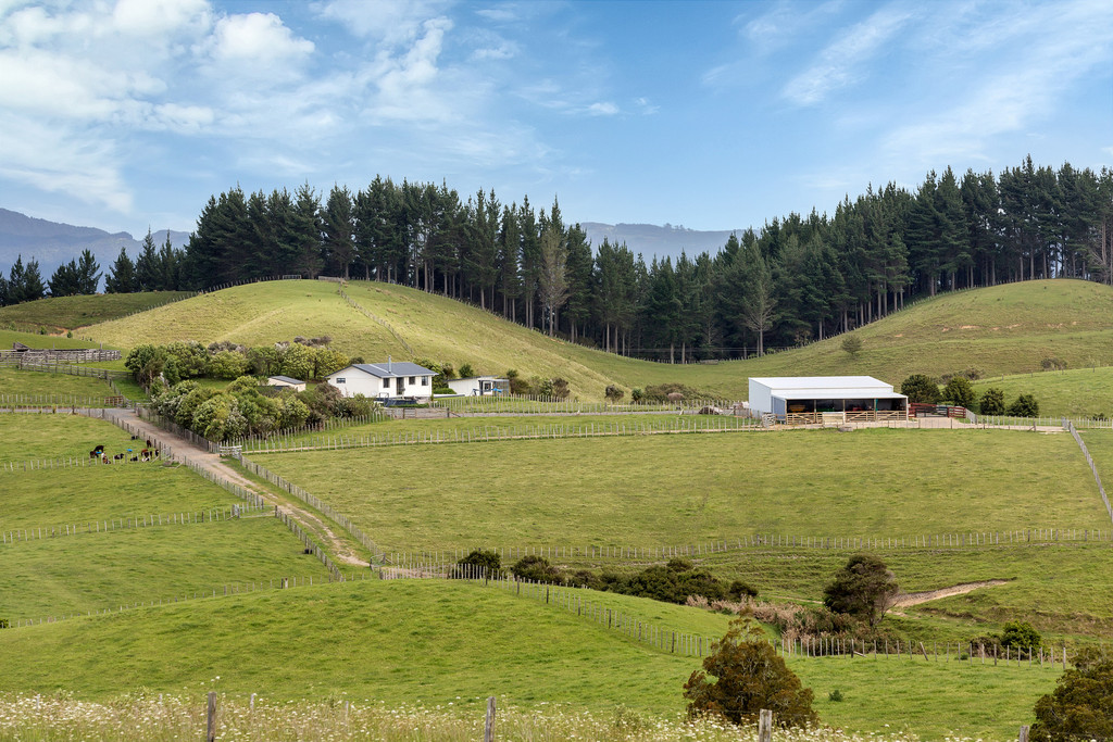 Lifestyle blocks For Sale in Waipu, Whangarei, Northland For